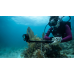 GoPro HERO 13 Black