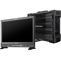 Desview D21-HB 21.5" High-Bright Multiview Production Monitor with Case