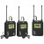 LWM 328C DUAL TX*2-RX*1 