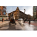 Tamron 24mm f/2.8 Di III OSD M 1:2 Lens for Sony E