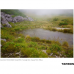Tamron 24mm f/2.8 Di III OSD M 1:2 Lens for Sony E