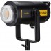 Godox FV200 200W High Speed Sync Flash and Continuous LED Light