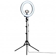 LED Ring Light 12 Inch with Stand