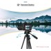 KINGJOY VT-840 Video Tripod