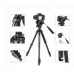 KINGJOY VT-866 Video Tripod With Fluid Head