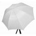 White Umbrella